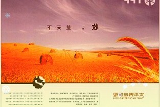 政务服务周末不打烊中午不断档是怎么做到的西宁市市民中心延时服务首日见闻
