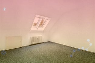 青海春天药用资源科技股份有限公司主营业务为以冬虫夏草类产品研发